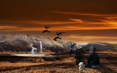 Episode 30 – Escaping Literalism