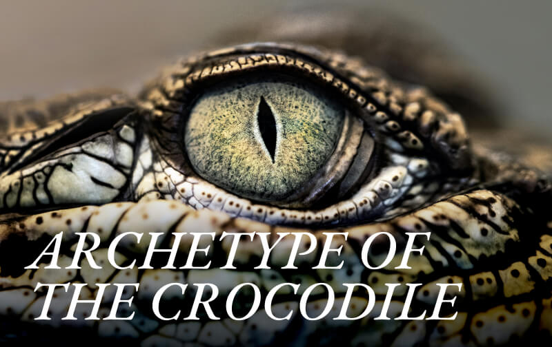 The Archetype of the Crocodile
