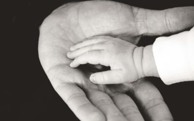 LEGACY: living toward the long future